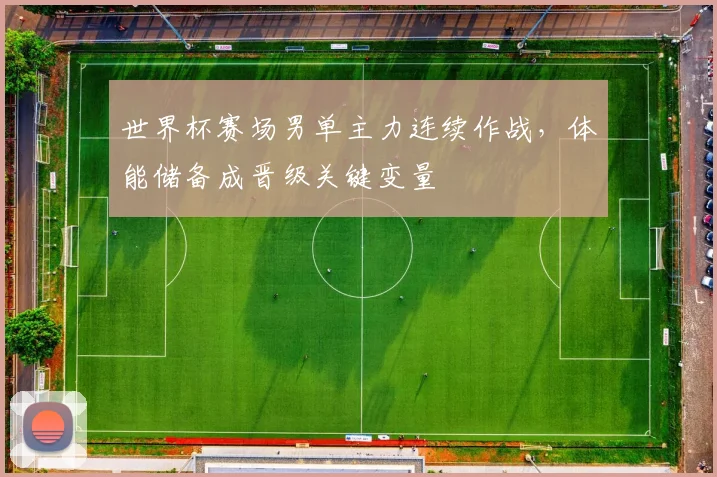 世界杯赛场男单主力连续作战，体能储备成晋级关键变量