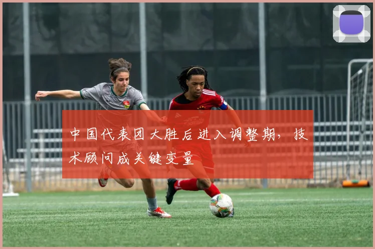 中国代表团大胜后进入调整期，技术顾问成关键变量