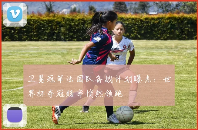 卫冕冠军法国队备战计划曝光，世界杯夺冠赔率悄然领跑