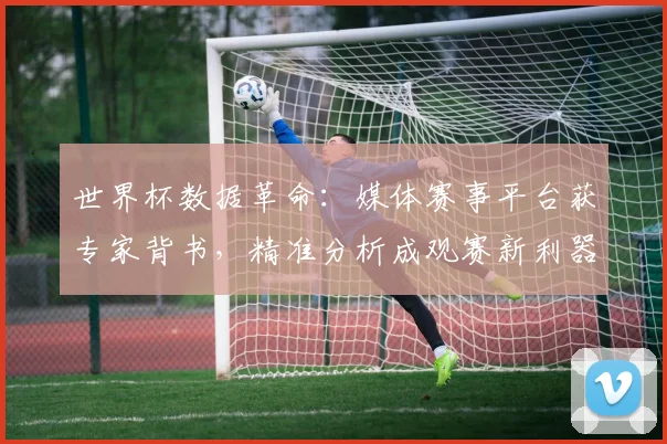 世界杯数据革命：媒体赛事平台获专家背书，精准分析成观赛新利器