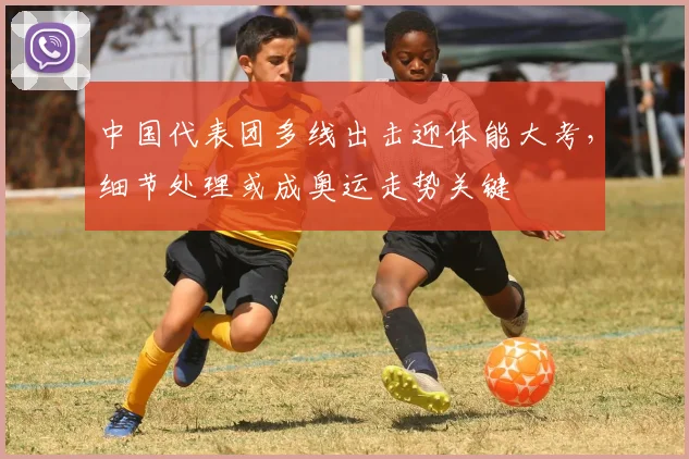 中国代表团多线出击迎体能大考，细节处理或成奥运走势关键
