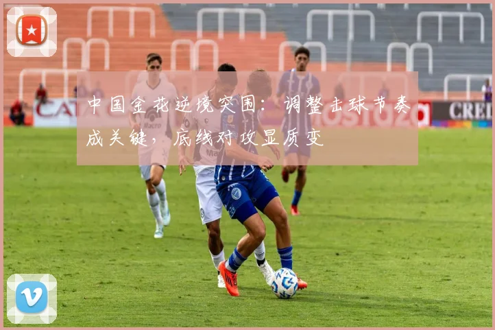 中国金花逆境突围：调整击球节奏成关键，底线对攻显质变