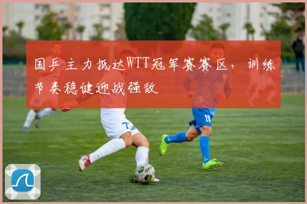 国乒主力抵达WTT冠军赛赛区，训练节奏稳健迎战强敌