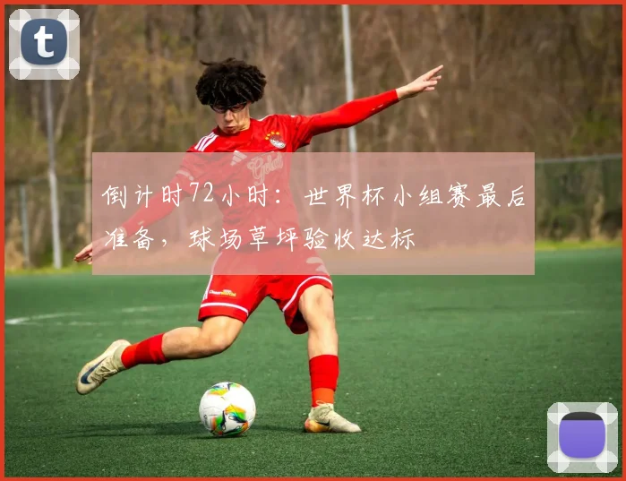 倒计时72小时：世界杯小组赛最后准备，球场草坪验收达标