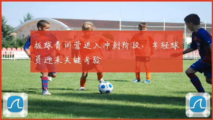 板球青训营进入冲刺阶段，年轻球员迎来关键考验